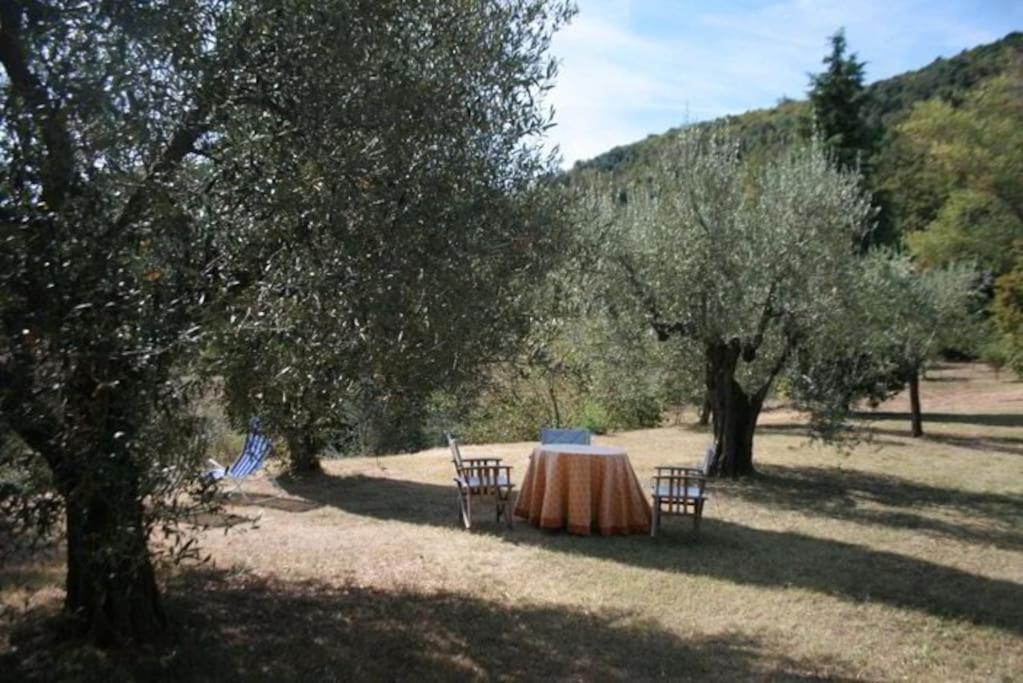 Podere Gli Oppi Toscana Villa Petroio Exterior foto